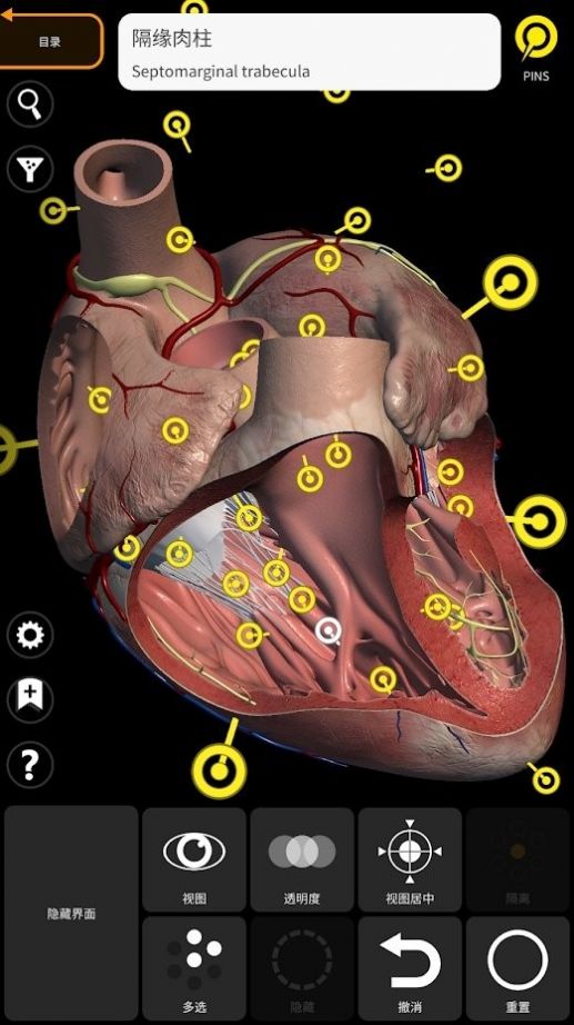 解剖学三维图谱app图3