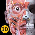 解剖学三维图谱app官方版 v4.1.0