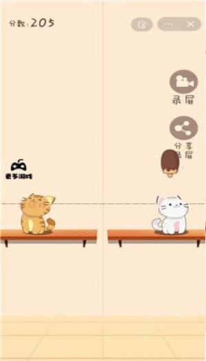 Duet Cats中文版图1