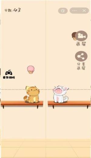 Duet Cats中文版图2