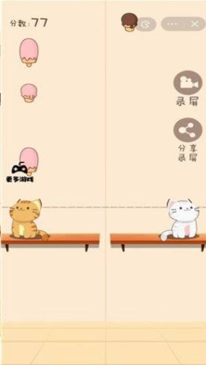 Duet Cats中文版图3