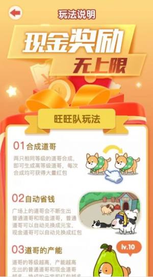 开心小狗舍游戏红包版图片1