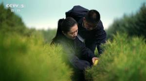 派电视TV官方app下载图片2