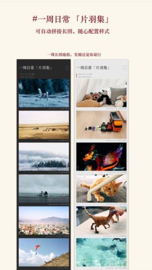片羽集我的365天日常生活照片日记app官方版图片1