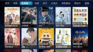 枫亭TV app图2