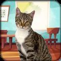 猫模拟器可爱的小猫游戏最新安卓版 v1.0