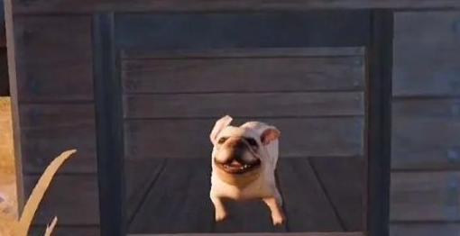 黎明觉醒宠物怎么获得   宠物以及技能获取攻略[多图]