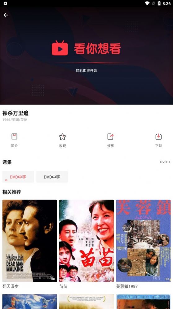 火苗电影app图2