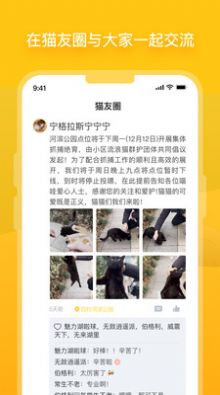 哈啰街猫app图3