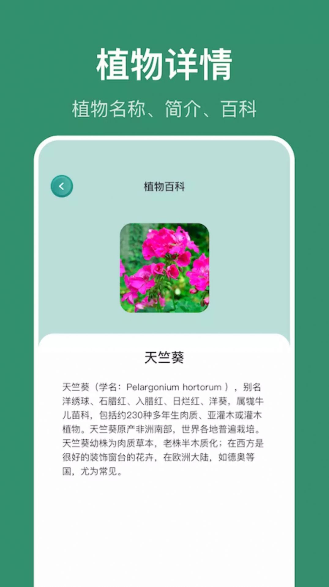 小黄养花app图1