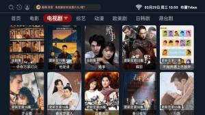 布蕾tvbox最新版图3