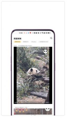 看熊猫电子杂志app图1