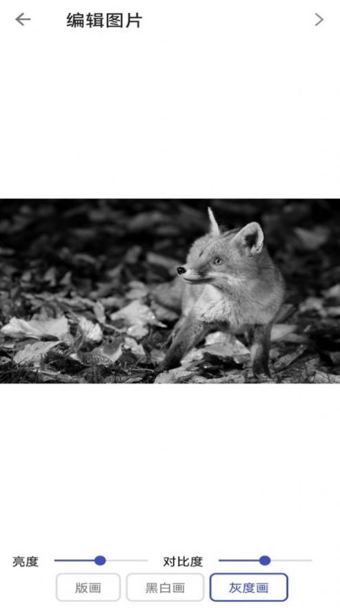 Magical MM激光打标app手机版图片1