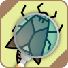 昆虫识别码app官方版 v1.3
