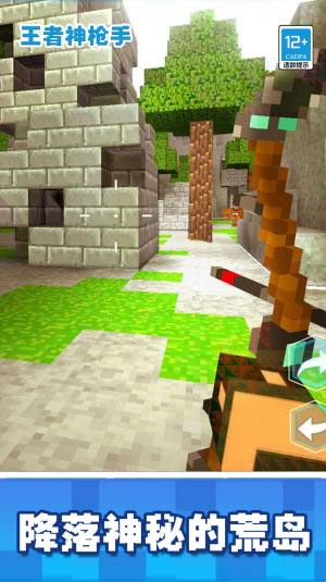 王者神枪手游戏官方版下载图片2