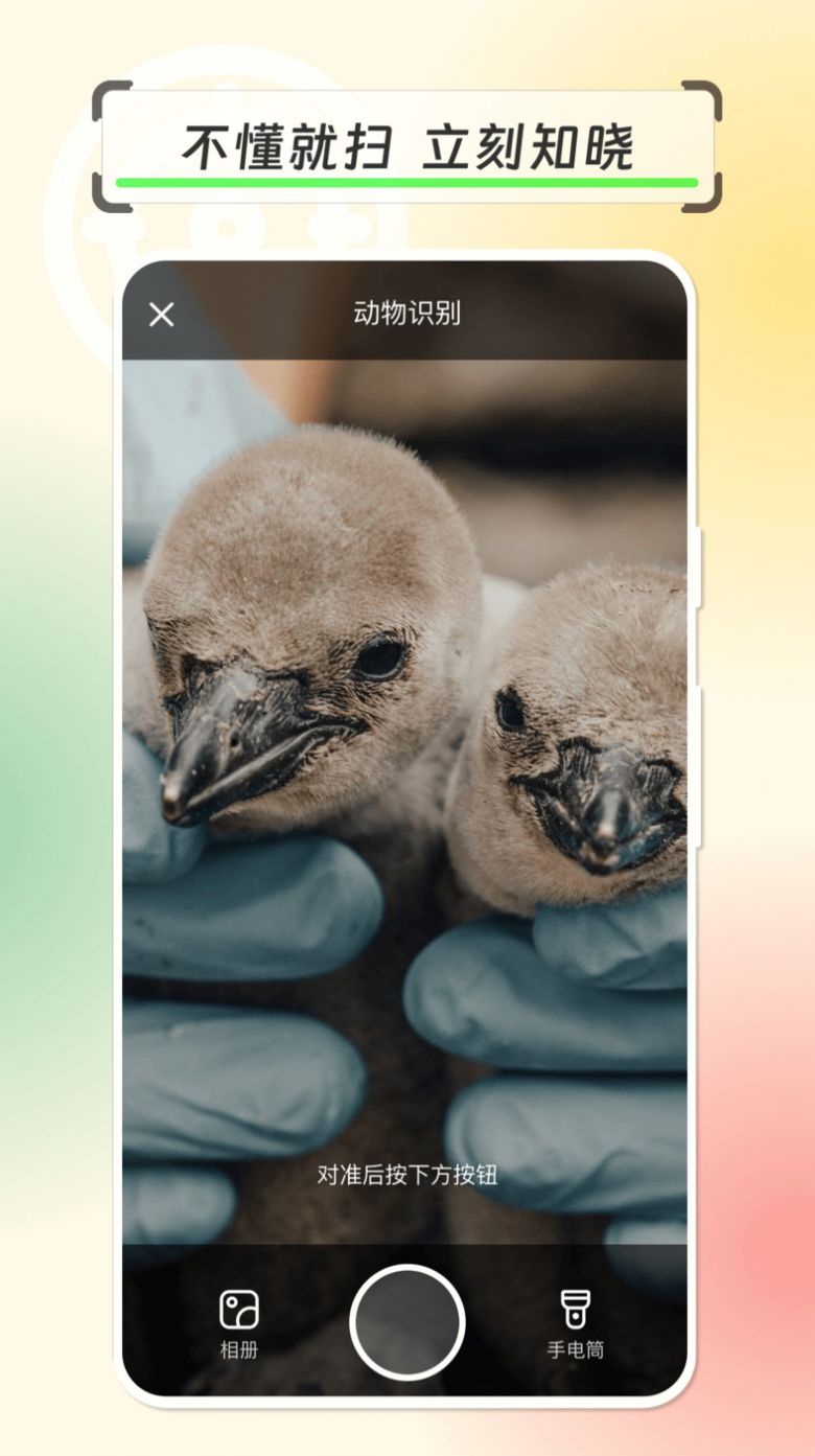 拍物轻松识app图1