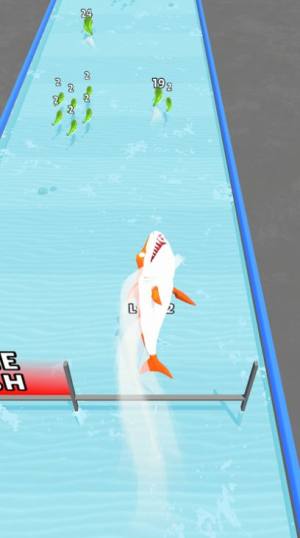 鱼类升级跑3D游戏图2
