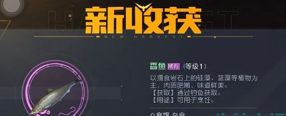 黎明觉醒香鱼在哪钓   香鱼分布位置大全图片2