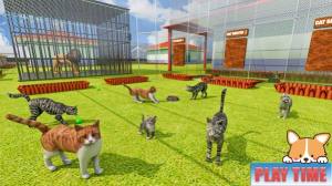动物庇护所宠物世界游戏中文手机版图片1
