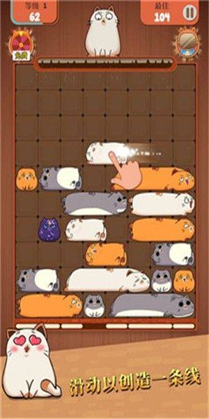 猫类拼图游戏图2