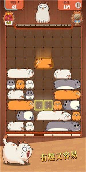 猫类拼图游戏图3