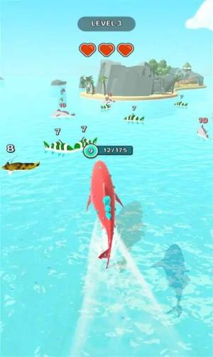 鲨鱼进化记游戏图2