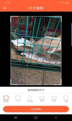 鸿翔水印app官方版图片1