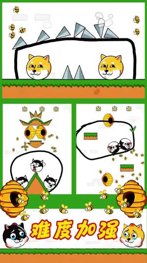 蜜蜂狗的冒险游戏安卓版图片1