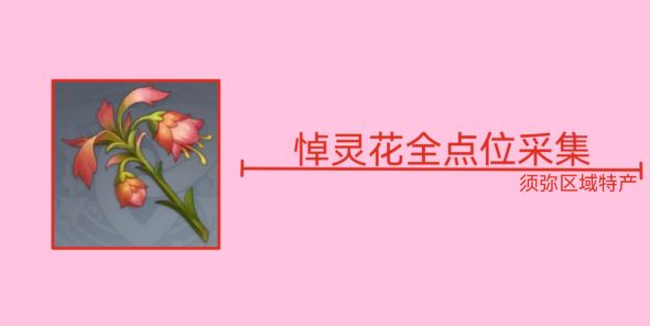 原神悼灵花在哪找   3.6版悼灵花位置大全[多图]图片1
