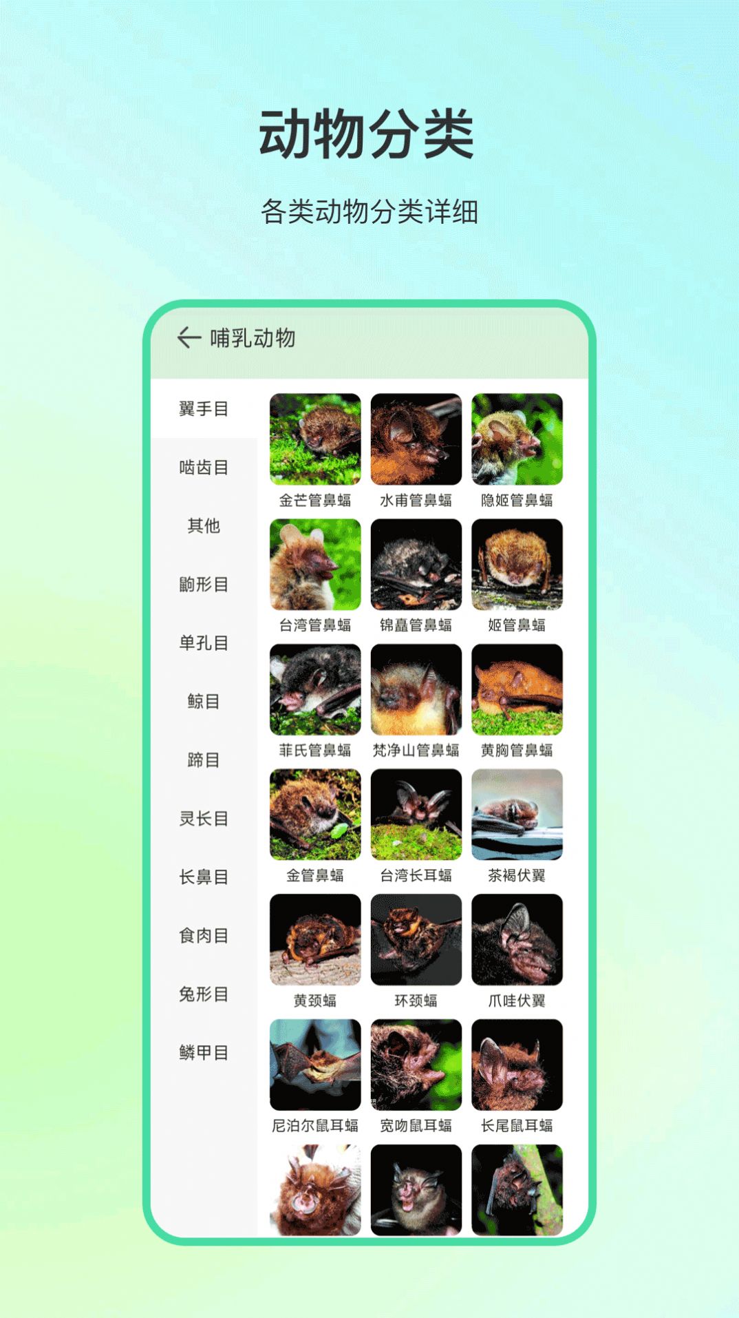 动物百科app图2
