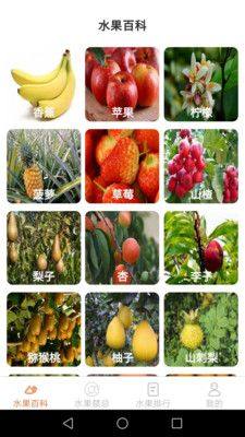 果园看看水果百科app官方版图片1