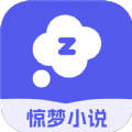 惊梦小说app官方 1.0