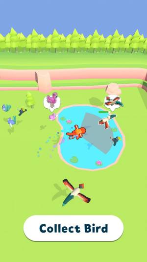 养鸟大亨游戏官方版图片1