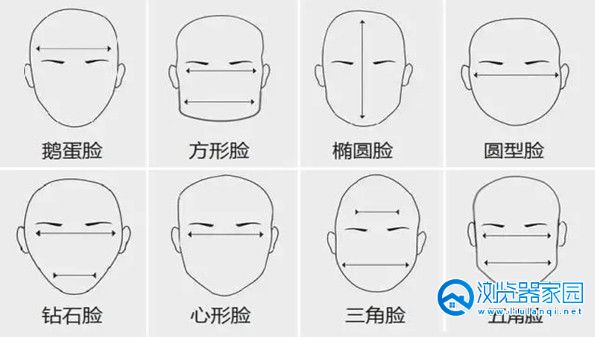 脸型测试软件合集