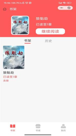 吟安小说app官方版图片1