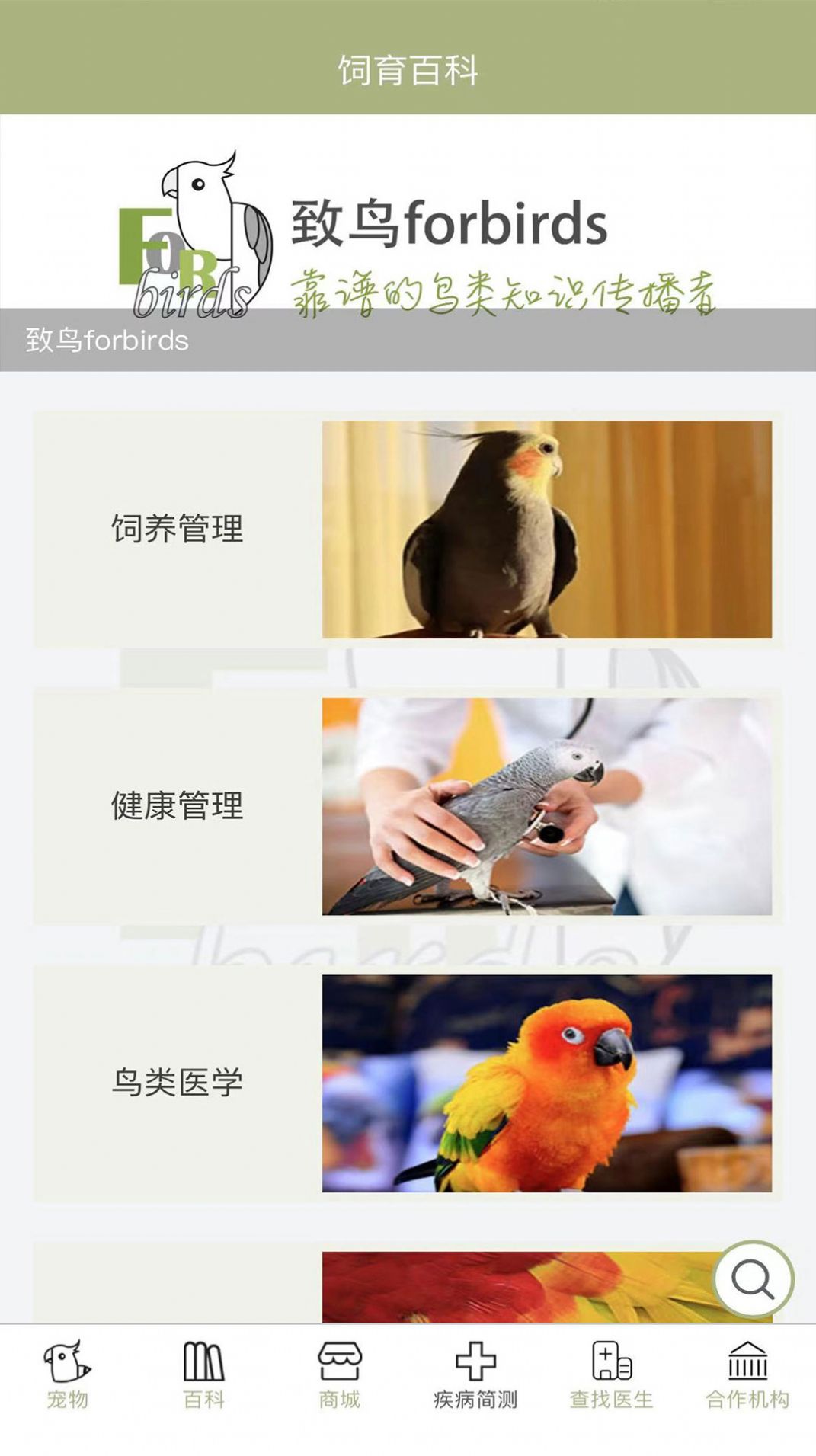 致鸟forbirds app图2