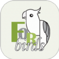致鸟forbirds鸟类健康app安卓版 v1.1.6
