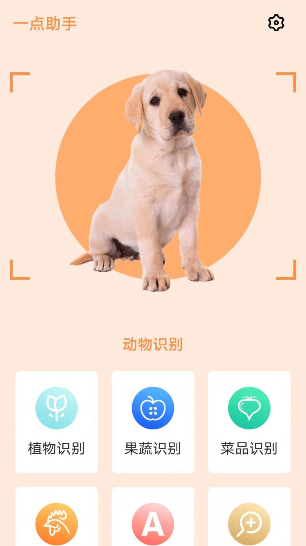 一点助手app图1