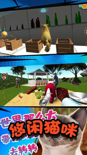 极速流浪猫小游戏官方安卓版图片2