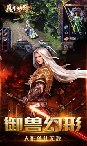 真牛传奇幻宠超爆神器手游官方安卓版图片1