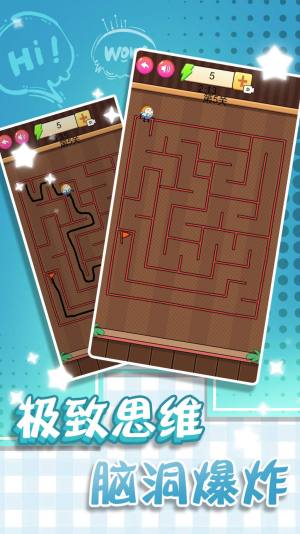 迷宫的智力挑战游戏官方版图片1