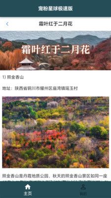 宠粉星球极速版旅行下载官方版app图片1