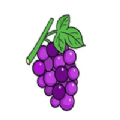 紫葡萄影院app官方版 v2.1.0