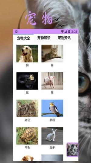 bobcat宠物管理app图1