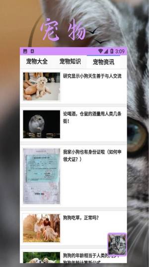 bobcat宠物管理app图3