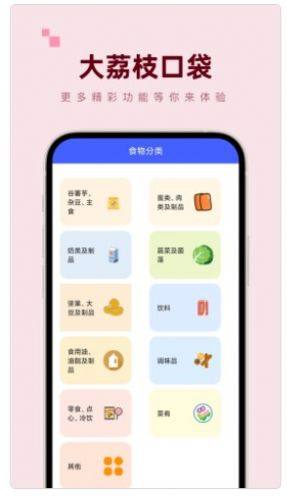 大荔枝口袋工具箱app手机版图片1