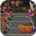 ACA NEOGEO街头篮球游戏安卓版下载 v1.1