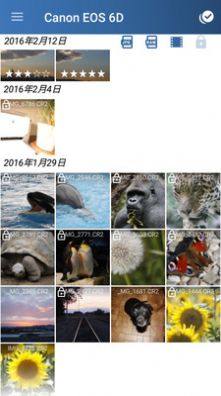 相机连接和控制app手机版图片1