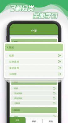 小熊削削削app图1