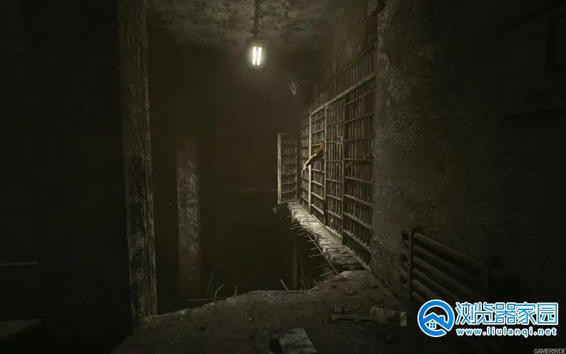 ������Ŀֲ�������Ϸ��ȫ